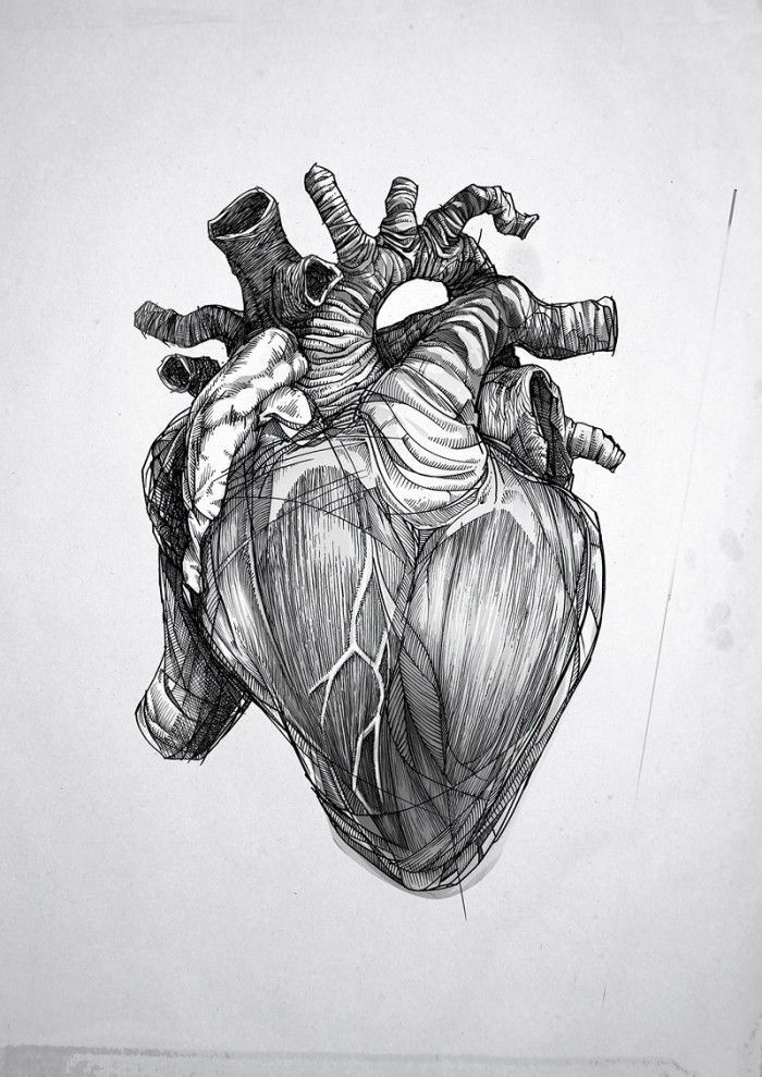Cracking Open Our Hearts