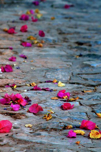 The Questions We Ask and the Places We Seek