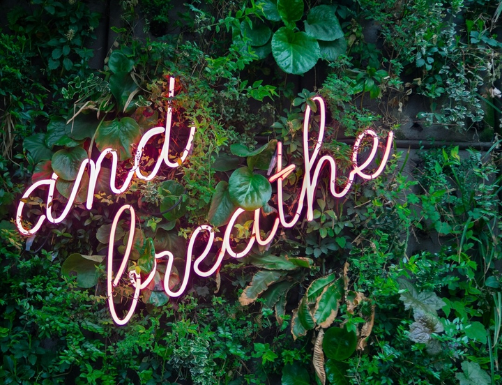 Coaching Should Feel Like a Deep Breath